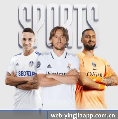 五大服务分区,信息按项目分类 | yingjia